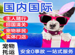 泰州航空邮寄国际宠物托运 【国